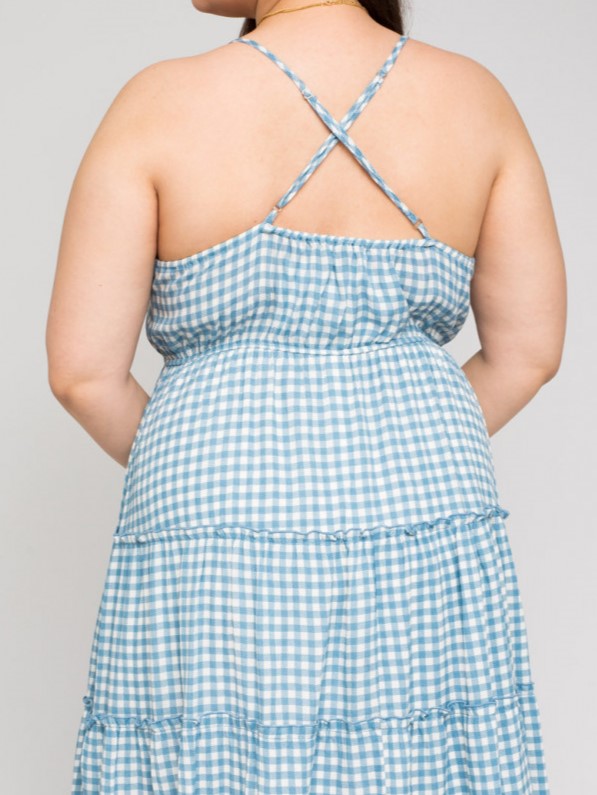 Picnic in the Park Gingham Dress in Blue PLUS