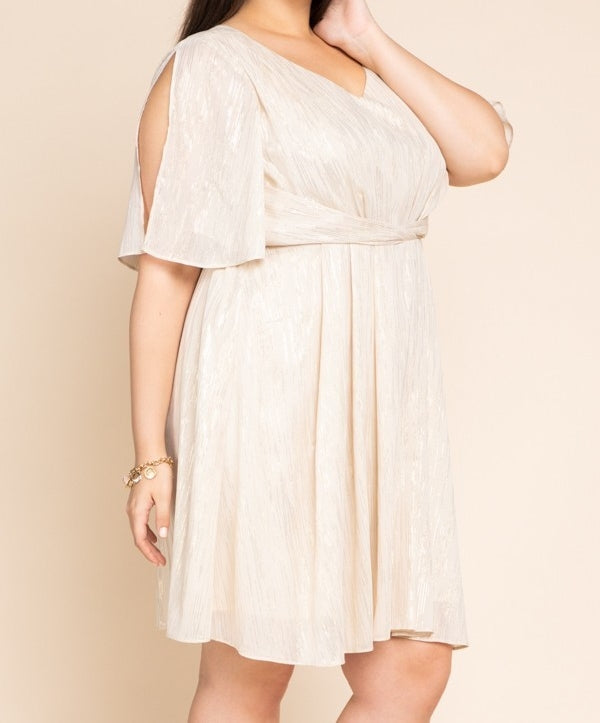 Metallic Ivory Dress PLUS