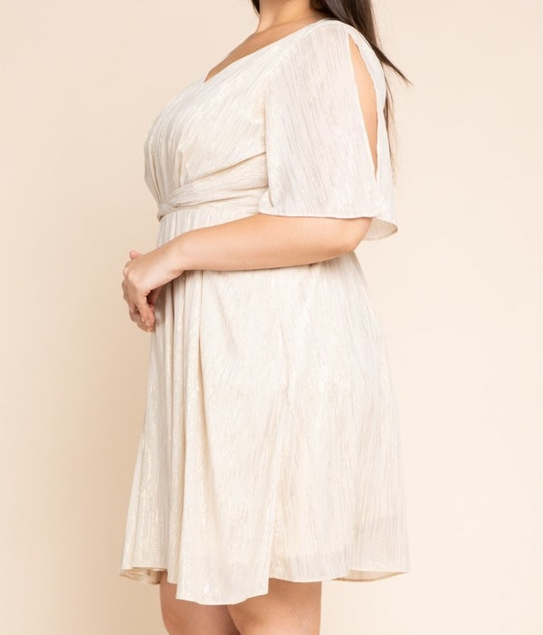 Metallic Ivory Dress PLUS