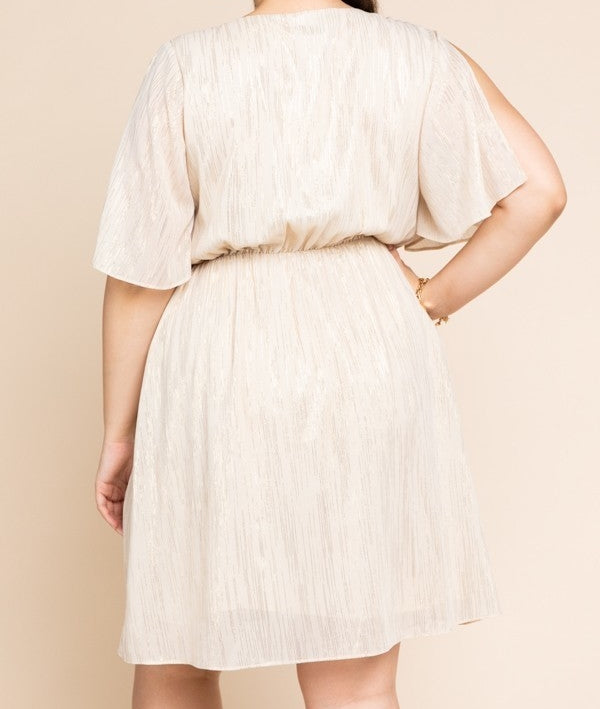 Metallic Ivory Dress PLUS