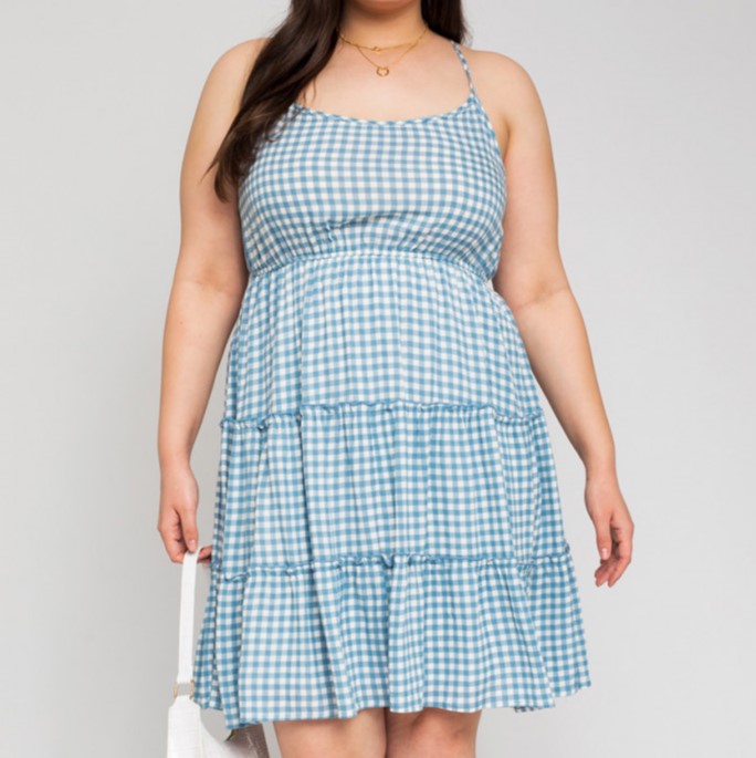 Picnic in the Park Gingham Dress in Blue PLUS 2X Picnic in the Park Gingham Dress in Blue PLUS 2X