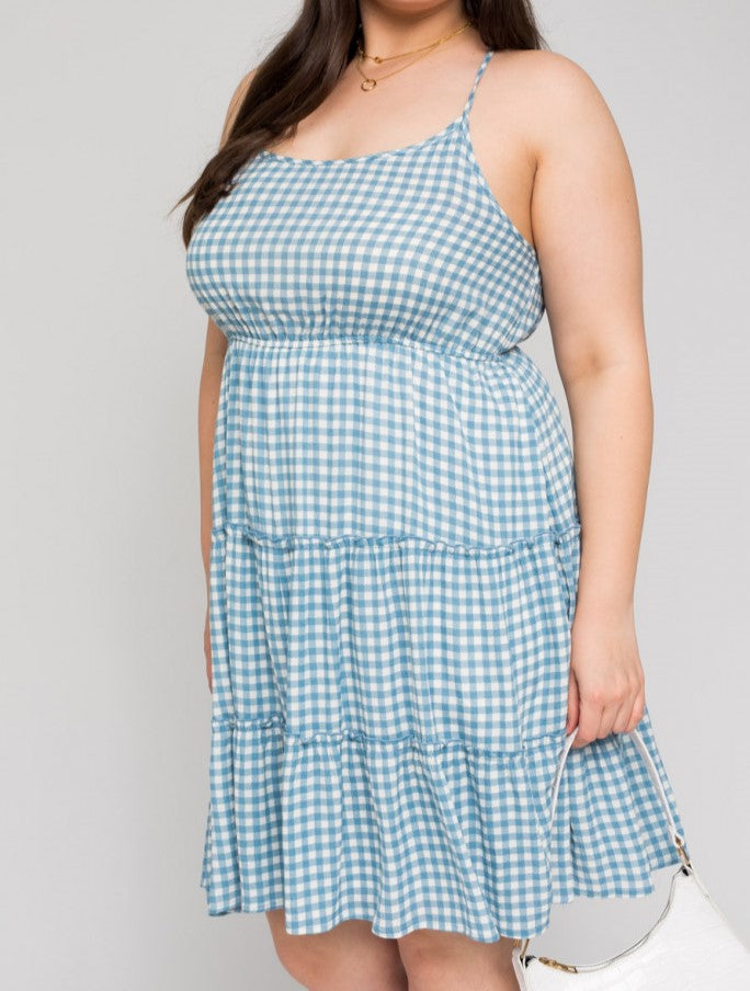 Picnic in the Park Gingham Dress in Blue PLUS